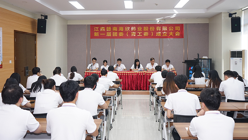 凝聚青春动能，助力企业发展 ——海欣药业召开新一届团委（青工委）成立大会